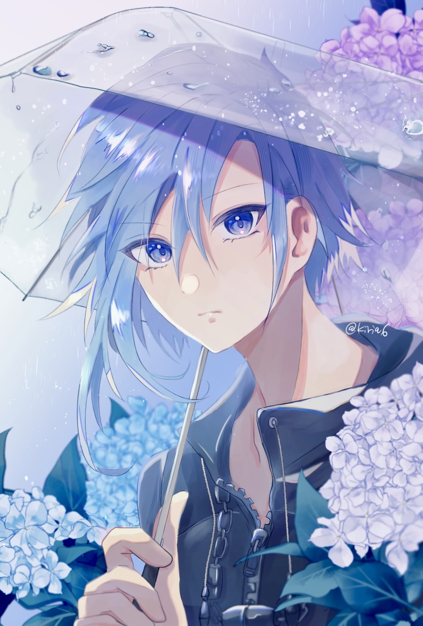 1boy asymmetrical_hair bishounen black_coat_(kingdom_hearts) blue_eyes blue_flower blue_hair eyelashes flower grey_hair hair_between_eyes highres holding holding_umbrella hydrangea kingdom_hearts looking_at_viewer male_focus maruzeku organization_xiii portrait purple_flower rain short_hair single_sidelock solo transparent transparent_umbrella twitter_username umbrella water_drop zexion