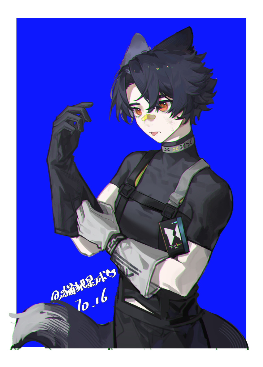 1boy :p absurdres animal_ears arknights artist_name asymmetrical_gloves bandaid bandaid_on_face bandaid_on_nose black_gloves black_hair black_pants black_shirt blue_background border chromatic_aberration closed_mouth dated dirty dirty_face dog_boy dog_ears dog_tail gloves hands_up highres id_card infection_monitor_(arknights) male_focus maorongxingqiu mismatched_gloves orange_eyes pants putting_on_gloves shirt short_sleeves simple_background solo tail tongue tongue_out white_border white_gloves windflit_(arknights)