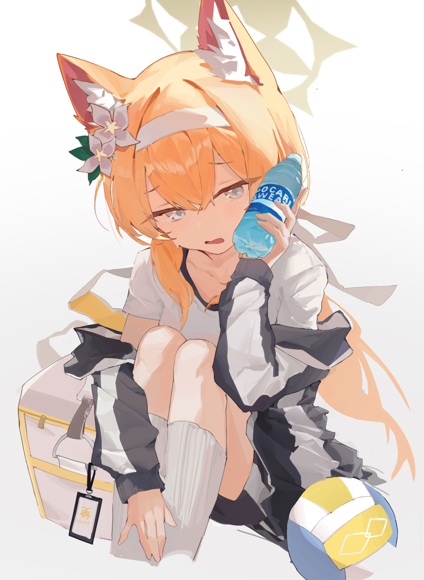 1girl absurdres animal_ear_fluff animal_ears backlighting ball black_jacket black_shorts blue_archive blue_eyes blush bottle cat_ears cat_girl chinese_commentary collarbone commentary feet_out_of_frame flower furrowed_brow gym_shirt gym_uniform hair_between_eyes hair_flower hair_intakes hair_ornament hair_ribbon halo hand_up highres holding holding_bottle hugging_own_legs id_card jacket kneehighs knees_up lirn long_hair long_sleeves looking_at_viewer low_ponytail mari_(blue_archive) mari_(track)_(blue_archive) official_alternate_costume official_alternate_hairstyle open_mouth orange_hair ponytail ribbon shirt short_sleeves shorts sidelocks simple_background sitting socks solo sweatdrop trinity_general_school_logo very_long_hair volleyball_(object) water_bottle white_background white_flower white_ribbon white_shirt white_socks yellow_halo