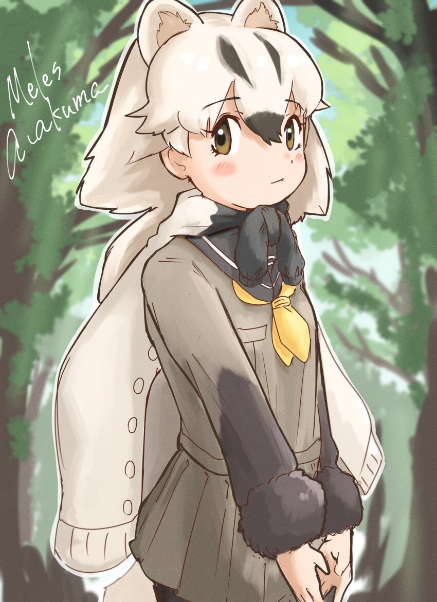 absurdres badger_ears badger_girl badger_tail black_fur black_hair black_pantyhose black_sleeves blush brown_eyes brown_jacket brown_skirt cowboy_shot extra_ears fur_trim fuzhuz hair_between_eyes highres jacket jacket_around_neck japanese_badger_(kemono_friends) kemono_friends looking_at_viewer neckerchief pantyhose pleated_skirt sailor_collar short_hair sidelocks skirt white_hair yellow_neckerchief