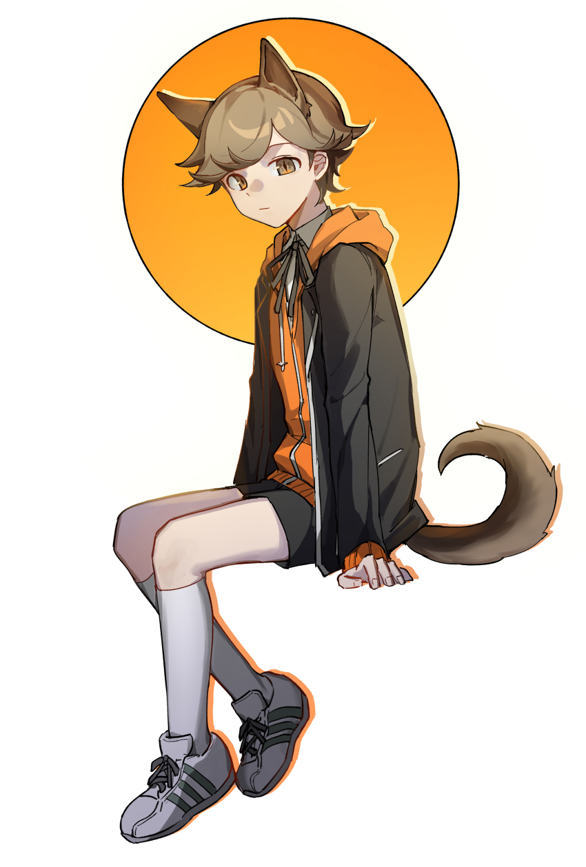 1boy absurdres amada_ken animal_ears black_jacket black_shorts brown_hair dog dog_boy dog_ears dog_tail eca_leaf full_body gekkoukan_high_school_uniform highres hood hoodie jacket kneehighs looking_at_viewer male_focus neck_ribbon orange_hoodie persona persona_3 ribbon school_uniform shoes short_hair shorts sitting sneakers socks solo tail white_background white_shoes white_socks yellow_eyes