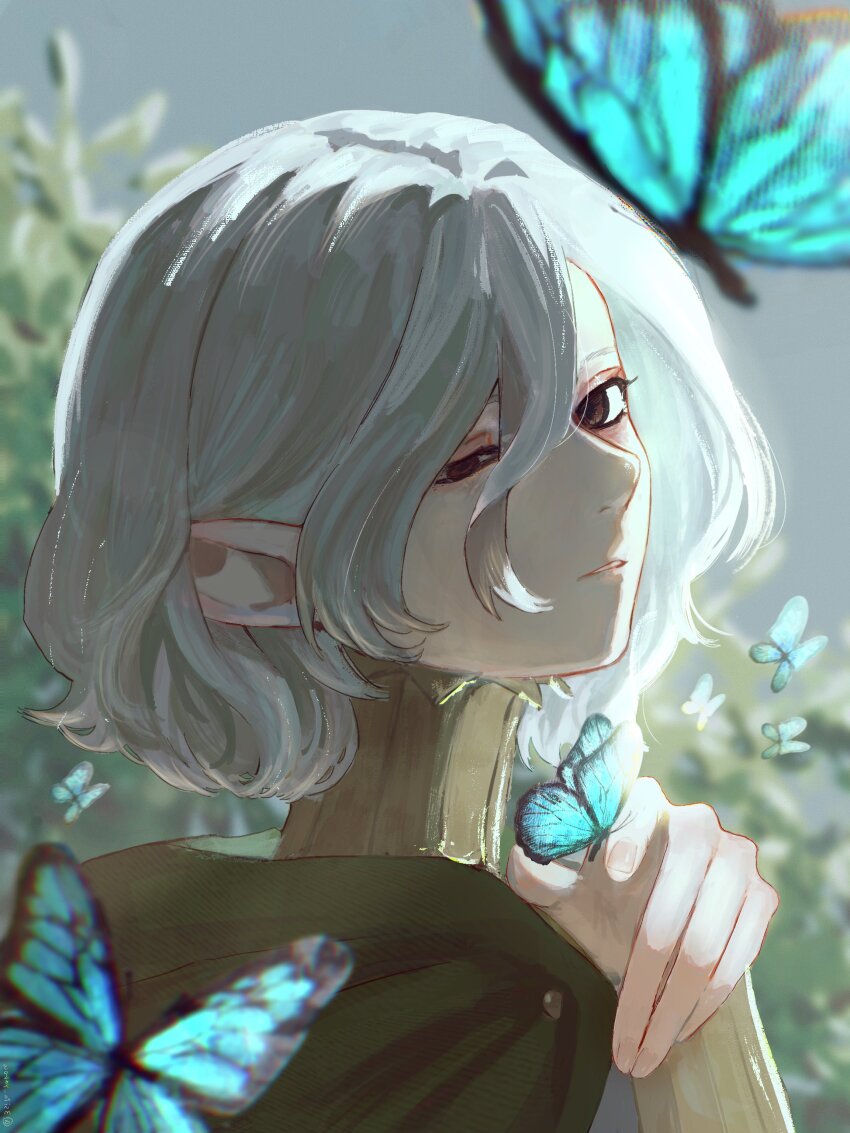 1boy absurdres bags_under_eyes black_eyes blue_butterfly blurry bug butterfly butterfly_on_hand cloak depth_of_field dungeon_meshi elf gorget green_cloak grey_hair highres hood hooded_cloak insect lazy_eye long_sleeves looking_back male_focus mithrun momite_(3sita_yarou) notched_ear pointy_ears shirt short_hair solo uneven_eyes wavy_hair