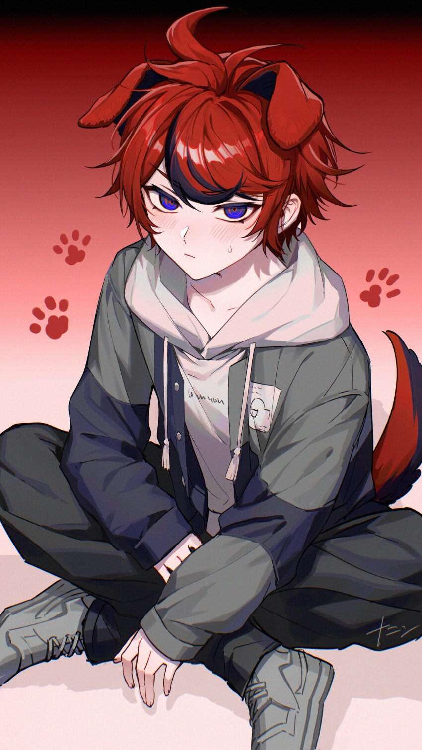 1boy absurdres ahoge animal_ears black_hair blue_eyes blush dog_boy dog_ears dog_tail gradient_background highres hood hoodie looking_at_viewer male_focus multicolored_eyes multicolored_hair paw_print red_background red_eyes red_hair sitting sumino_takumi tail the_hundred_line_-last_defense_academy- white_background