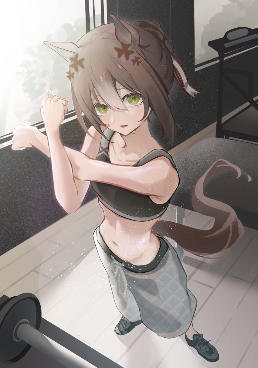 1girl absurdres animal_ears bare_shoulders black_shoes black_sports_bra breasts brown_hair clover_hair_ornament commentary fine_motion_(umamusume) full_body green_eyes hair_between_eyes hair_ornament highres horse_ears horse_girl horse_tail indoors multicolored_hair navel sei_(bigaa) shoes small_breasts smile sneakers solo sports_bra sportswear stomach streaked_hair stretching sweat tail umamusume weights white_hair wooden_floor