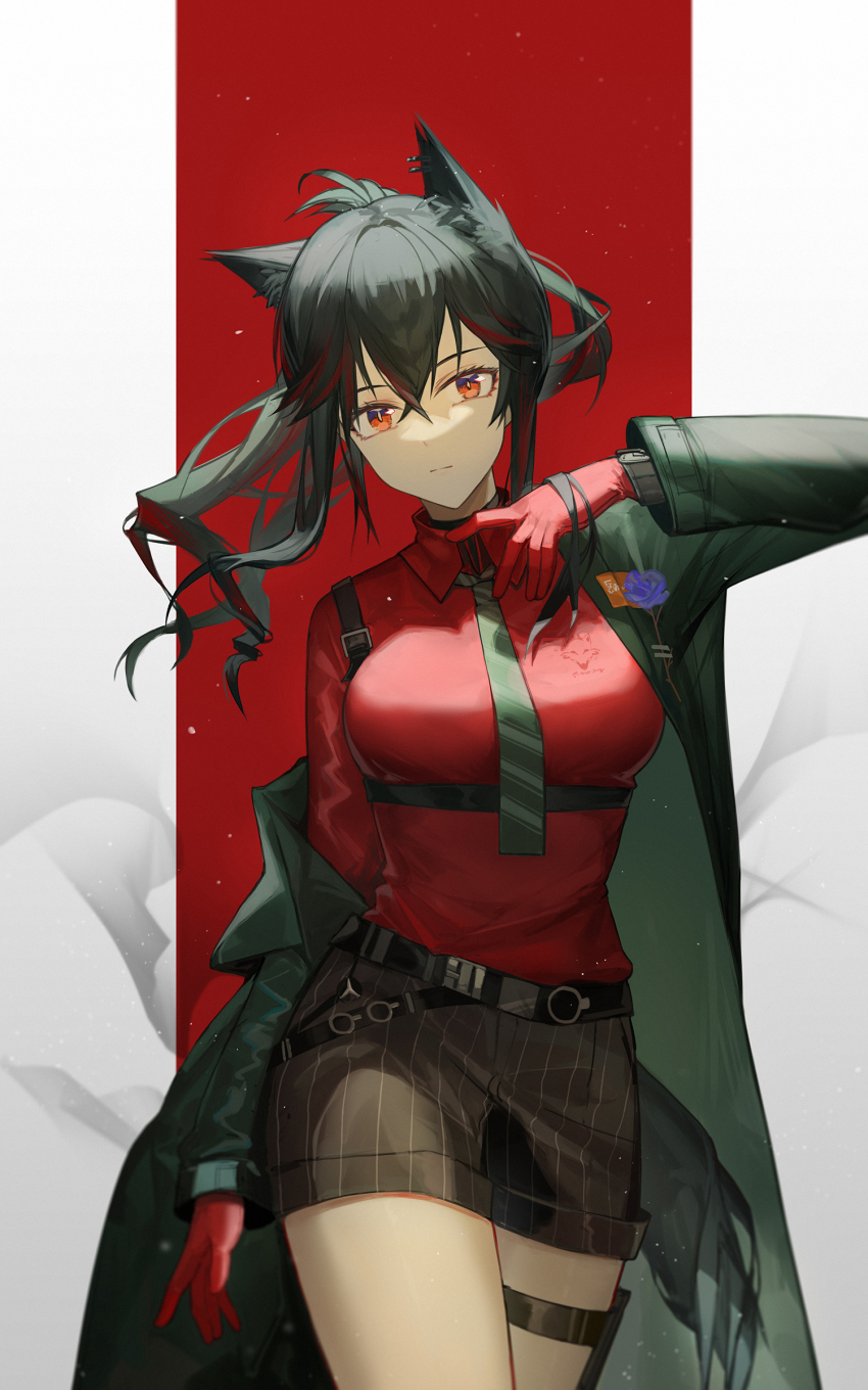 1girl absurdres animal_ears arknights black_coat black_hair black_necktie black_shorts breasts chest_harness closed_mouth coat collared_shirt cowboy_shot crossed_bangs expressionless fox_ears fox_girl fox_tail gloves hair_between_eyes harness highres large_breasts long_hair long_sleeves looking_at_viewer multicolored_hair necktie off_shoulder open_clothes open_coat orange_eyes pillarboxed pinstripe_shorts red_background red_gloves red_hair red_shirt shirt shirt_tucked_in shorts sidelocks solo streaked_hair tail texas_(arknights) texas_(willpower)_(arknights) thigh_strap walking watch wristwatch yuuki_mix