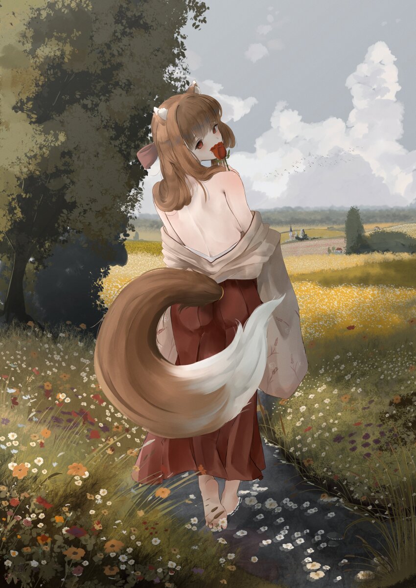absurdres animal_ears araca_ra brown_hair cloud feet flower from_behind grass highres holo japanese_clothes long_hair miko red_eyes red_flower red_rose ribbon rose spice_and_wolf tail tree wolf_ears wolf_tail