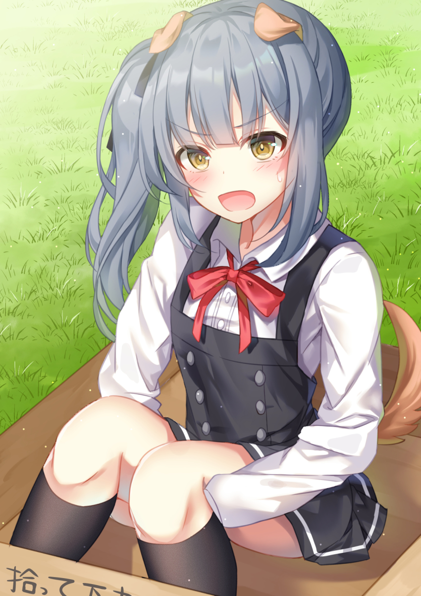 1girl animal_ears belt black_ribbon black_socks box brown_eyes cardboard_box commentary_request dog_ears dog_tail dress female_focus for_adoption grey_hair highres kantai_collection kasumi_(kancolle) kasumi_kai_ni_(kancolle) kemonomimi_mode kneehighs long_hair long_sleeves looking_at_viewer open_mouth pinafore_dress red_ribbon ribbon shirt side_ponytail sitting sleeveless sleeveless_dress socks solo sugisaki_yuu tail translated white_shirt
