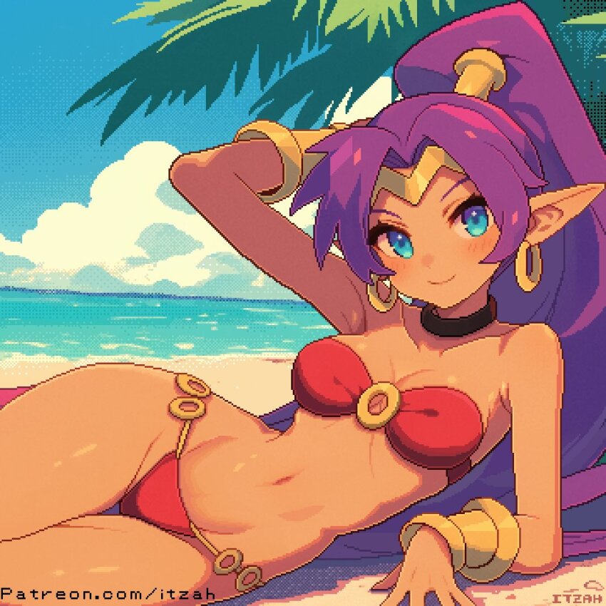 1girl artist_name beach bikini blue_eyes breasts dark-skinned_female dark_skin earrings hoop_earrings itzah jewelry long_hair looking_at_viewer medium_breasts navel patreon_username pixel_art pointy_ears ponytail purple_hair red_bikini shantae shantae_(series) ship smile solo swimsuit tiara very_long_hair watercraft