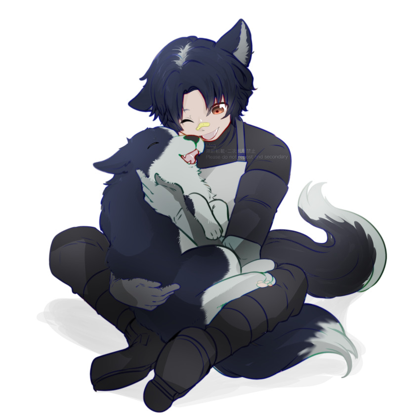 1boy ;d animal animal_ears apron arknights bandaid bandaid_on_face bandaid_on_nose black_boots black_hair black_pants black_shirt boots commentary dog dog_boy dog_ears dog_tail full_body gloves grey_gloves highres holding holding_animal looking_at_animal male_focus meg_(user_xszk7724) one_eye_closed open_mouth orange_eyes pants shirt short_hair simple_background sitting smile solo tail white_apron white_background windflit_(arknights)