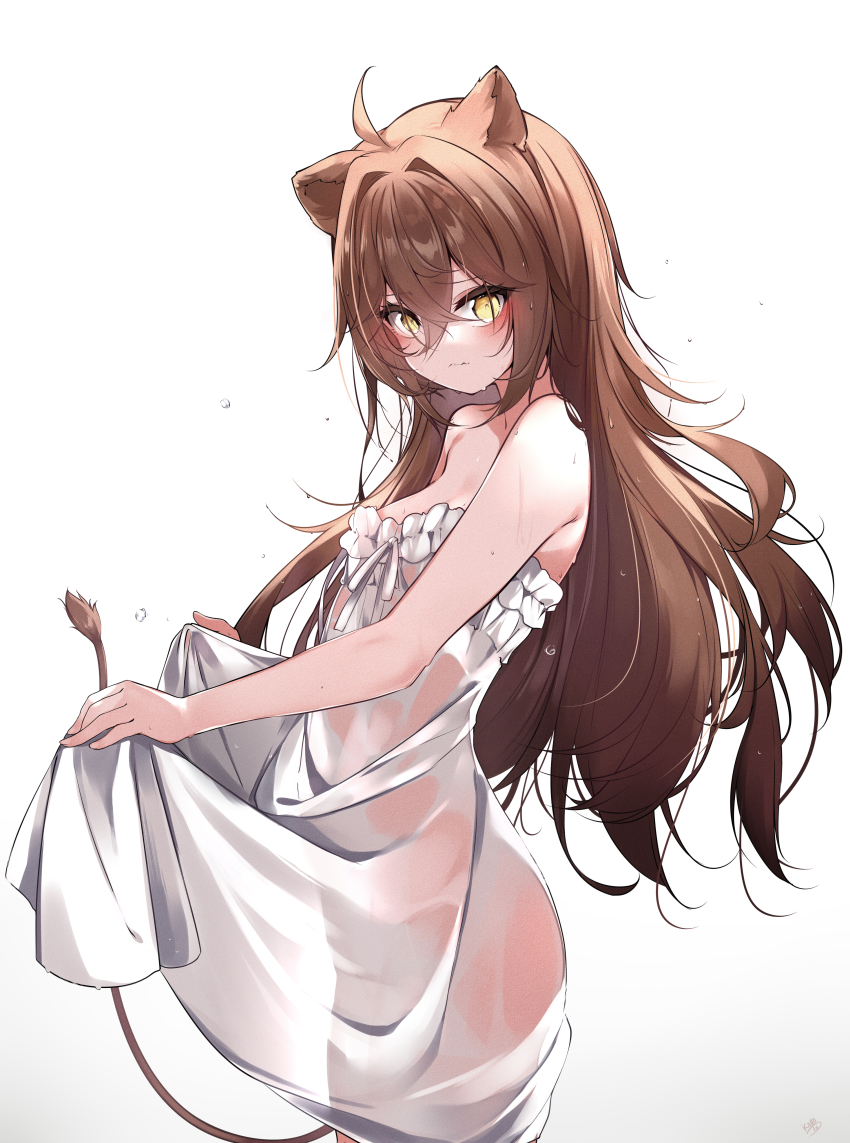 1girl absurdres ahoge animal_ears bare_shoulders blush breasts brown_hair cleavage closed_mouth cowboy_shot dress female_focus frilled_dress frills hair_between_eyes highres indie_virtual_youtuber kana616 lion_ears lion_girl lion_tail long_hair looking_at_viewer looking_to_the_side no_bra no_panties rurudo_lion rurudo_lion_(1st_costume) see-through_clothes see-through_dress simple_background skirt_hold small_breasts solo standing strapless strapless_dress tail very_long_hair virtual_youtuber wet wet_clothes wet_dress white_background white_dress yellow_eyes