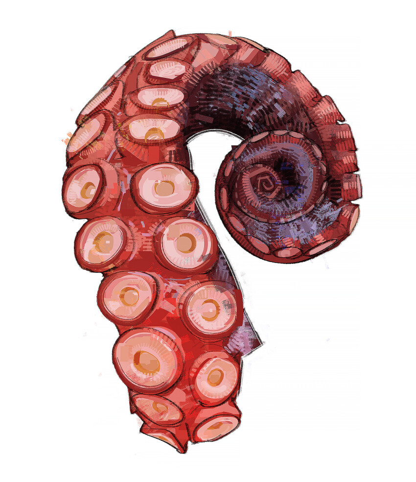 highres no_humans octopus original photoshop_(medium) ramon_nunez simple_background solo suction_cups tentacles white_background