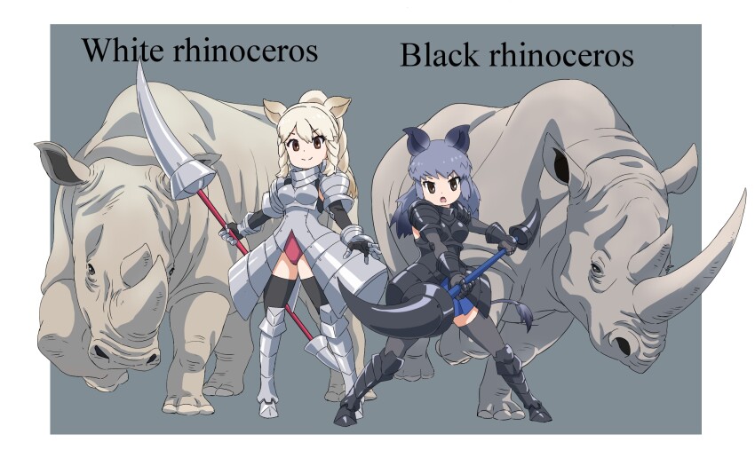 2girls animal animal_ears armor black_eyes black_hair black_rhinoceros_(kemono_friends) boots extra_ears gloves grey_background grey_hair highres holding holding_polearm holding_weapon kemono_friends kemono_friends_3 leotard long_hair looking_at_viewer multiple_girls outside_border polearm rhinoceros rhinoceros_ears rhinoceros_girl simple_background skirt tail thighhighs weapon white_rhinoceros_(kemono_friends) yamaguchi_yoshimi