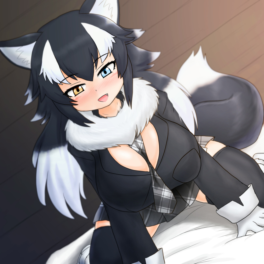 1girl animal_ears bed between_breasts black_hair black_thighhighs blue_eyes blush breast_pocket breasts cleavage commentary commentary_request fang female_focus fur_collar grey_wolf_(kemono_friends) heterochromia highres indoors kemono_friends large_breasts long_hair looking_at_viewer mo23 multicolored_hair necktie necktie_between_breasts open_clothes open_mouth pocket skirt solo tail thighhighs two-tone_hair white_hair wolf_ears wolf_girl wolf_tail yellow_eyes zettai_ryouiki