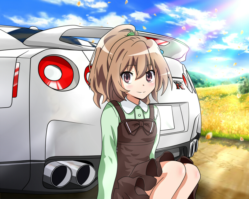 1girl aisaka_taiga alternate_hairstyle blush brown_eyes brown_hair car car_tail cloud day dress female_focus field motor_vehicle nissan nissan_gt-r petals ponytail sitting sky smile solo toradora! wingheart