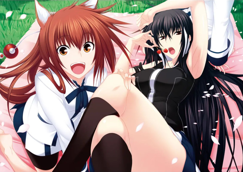 animal_ears armpits arms_behind_head bed_sheet bike_shorts black_hair breasts brown_hair cherry cherry_blossoms crossed_legs dog_ears eating field food fruit grass hanami kawakami_kazuko kawakami_momoyo large_breasts long_hair looking_at_viewer lying maji_de_watashi_ni_koi_shinasai! maji_de_watashi_ni_koi_shinasai!_s medium_breasts official_art official_wallpaper on_back outdoors ponytail red_eyes siblings sisters skirt sleeveless smile socks tall_female thick_thighs thighs uniform_vest vest yellow_eyes
