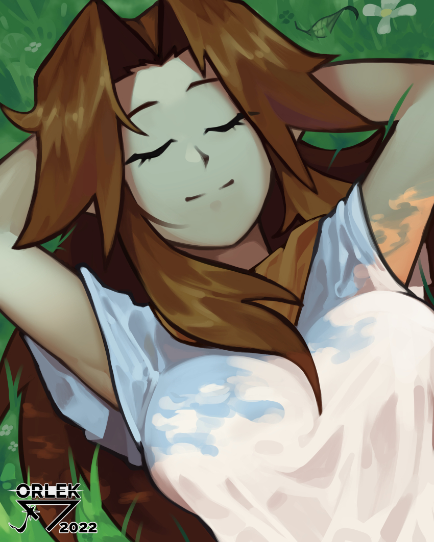1girl absurdres arms_behind_head artist_name breasts brown_hair closed_eyes highres large_breasts long_hair lying malon nintendo orlek shirt sleeping smile solo the_legend_of_zelda
