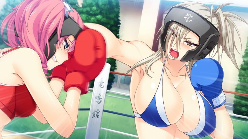 2girls boxing boxing_gloves boxing_ring breasts catfight large_breasts multiple_girls tagme