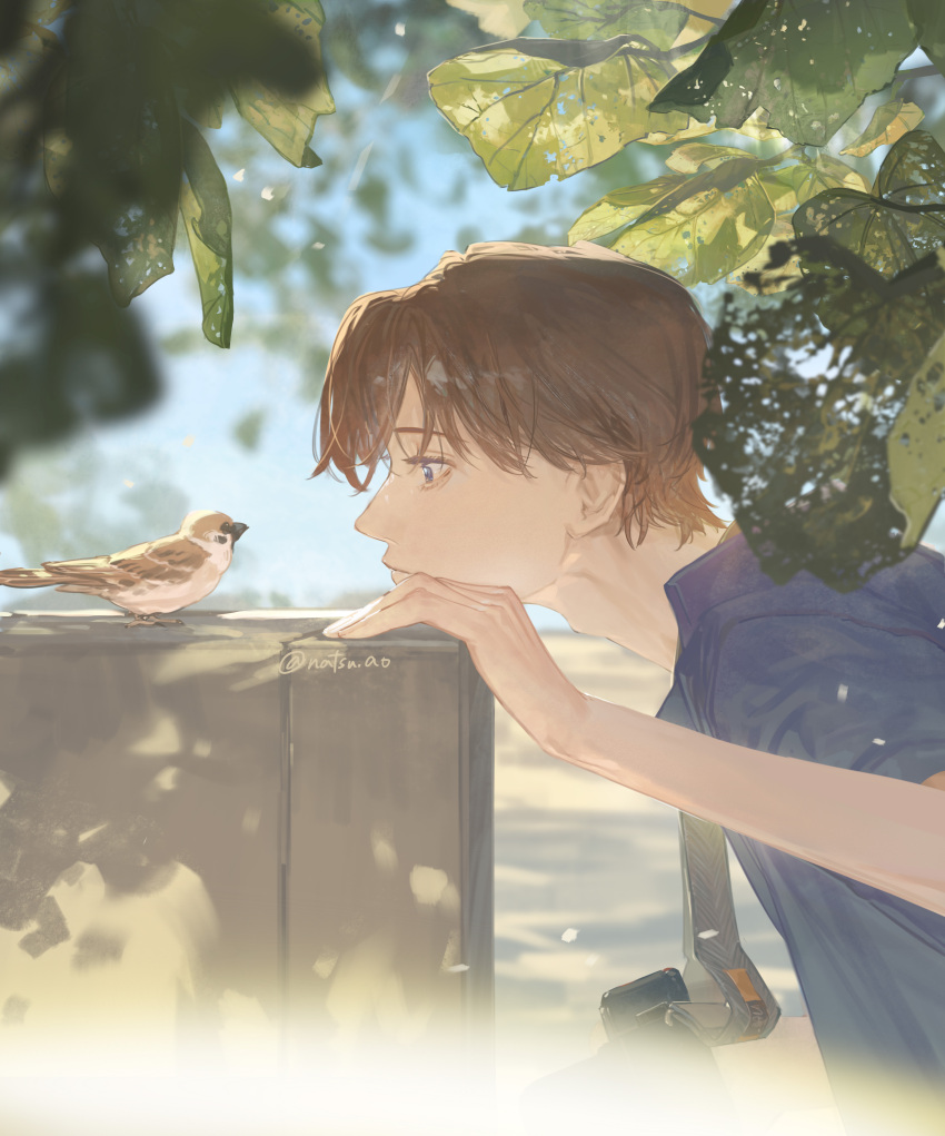1boy absurdres bird blue_eyes blue_shirt blue_sky blurry blurry_background brown_hair camera camera_around_neck closed_mouth commentary_request eurasian_tree_sparrow from_side highres leaf looking_at_animal male_focus original outdoors shirt short_hair sky solo sparrow twitter_username xia_qing