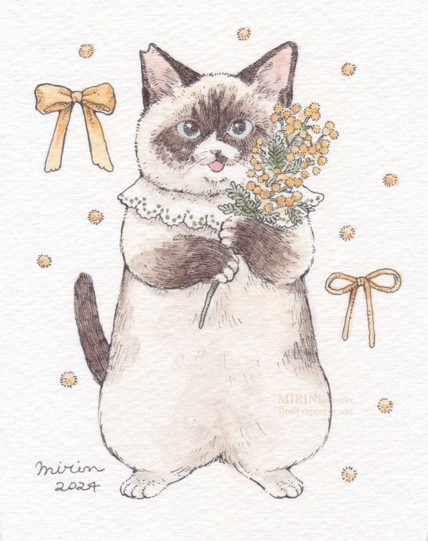 animal animal_focus artist_name blue_eyes bow cat commentary_request dated flower full_body highres holding holding_flower looking_at_viewer millipen_(medium) mirin_(mirin_4) no_humans open_mouth original painting_(medium) pen_(medium) rearing ribbon siamese_cat smile standing straight-on tail traditional_media watercolor_(medium) white_background yellow_bow yellow_ribbon