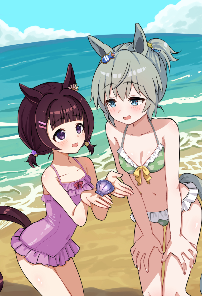 2girls absurdres animal_ears beach bikini blue_eyes blue_sky breasts casual_one-piece_swimsuit cloud day feet_out_of_frame frilled_one-piece_swimsuit frills green_bikini grey_hair hands_on_own_thighs highres horizon horse_ears horse_girl horse_tail konomaru low_twintails multiple_girls nishino_flower_(umamusume) ocean one-piece_swimsuit outdoors pink_one-piece_swimsuit ponytail purple_eyes seiun_sky_(umamusume) short_hair sky small_breasts swimsuit tail twintails umamusume