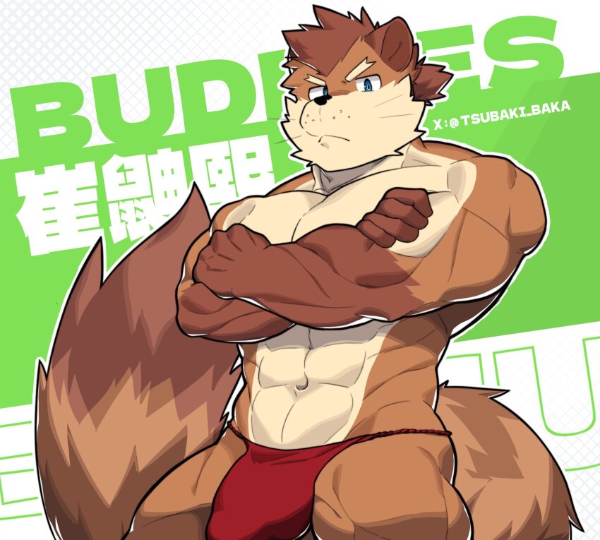1boy abs animal_ears bara bulge chinese_commentary chinese_text choi_yuhee_(xxl) commentary_request crossed_arms fundoshi furry furry_male highres japanese_clothes looking_at_viewer male_focus muscular muscular_male navel pectorals ponytail red_fundoshi tail topless_male translation_request tsubaki_baka twitter_username weasel_boy weasel_ears weasel_tail whiskers xxl_woofia