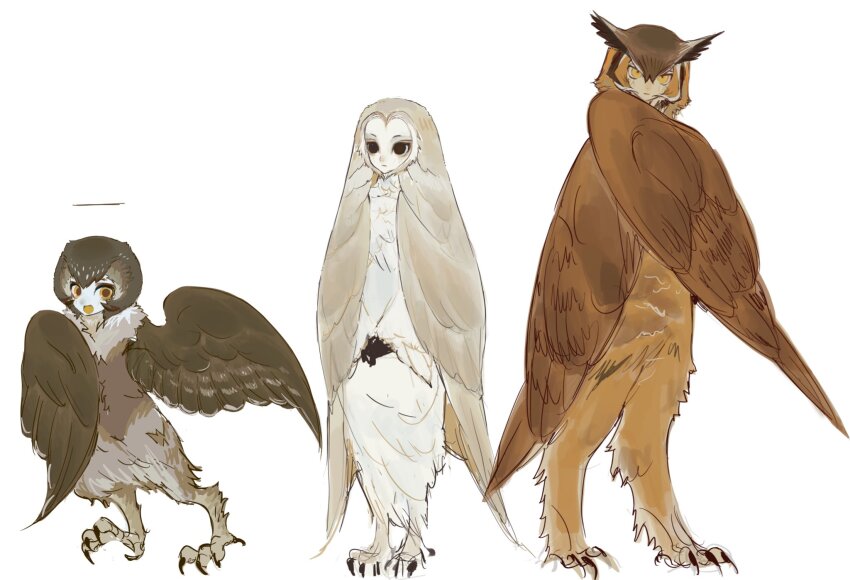 3girls animal_feet body_fur brown_eyes brown_hair brown_wings claws commentary english_commentary feathered_wings full_body half-harpy harpy highres looking_at_viewer monster_girl multiple_girls neck_fur original senmaze simple_background standing white_background winged_arms wings yellow_eyes
