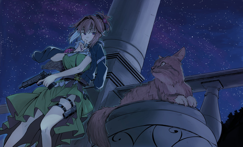 1girl breasts brown_hair cat column commentary_request commission dress finger_to_mouth fur_collar girls&#039;_frontline green_dress grizzly_mkv_(girls&#039;_frontline) grizzly_mkv_(starry_night_ball)_(girls&#039;_frontline) gun handgun highres holding holding_gun holding_weapon holster jacket jacket_on_shoulders l.a.r._manufacturing lar_grizzly_win_mag large_breasts night night_sky official_alternate_costume outdoors pillar purple_eyes short_hair shushing sidelocks skeb_commission sky solo star_(sky) tarutaru_gungun thigh_holster trigger_discipline weapon