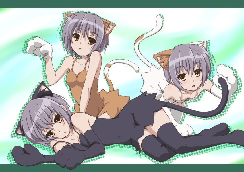 1girl :&lt; acuo animal_ears brown_eyes cat_ears cat_tail downblouse dress elbow_gloves errant flat_chest gloves grey_hair kemonomimi_mode legs multiple_persona multiple_views nagato_yuki paw_pose short_hair suzumiya_haruhi_no_yuuutsu tail thighhighs zettai_ryouiki