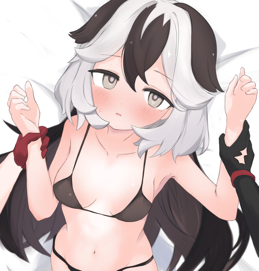 2girls animal_ears armpits asymmetrical_gloves bikini black_bikini black_gloves black_hair breasts collarbone coralie_6626_planck dog_ears dog_girl erdos_helia erdos_helia_(valkyrie_boltstorm) female_pov gloves grey_eyes grey_hair highres honkai_(series) honkai_impact_3rd mismatched_gloves multicolored_hair multiple_girls navel open_mouth pov pov_hands red_gloves samate small_breasts stomach string_bikini swimsuit two-tone_hair white_background yuri