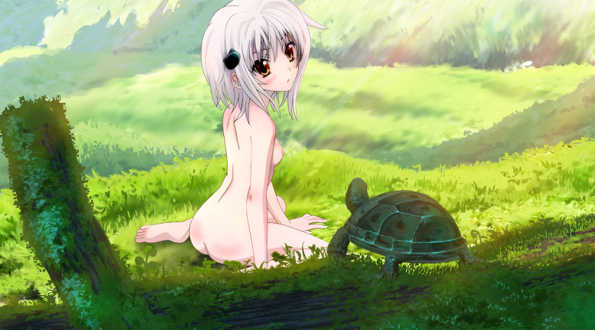 barefoot forest high_school_dxd highres nature nipples nude outdoors toujou_koneko white_hair yellow_eyes