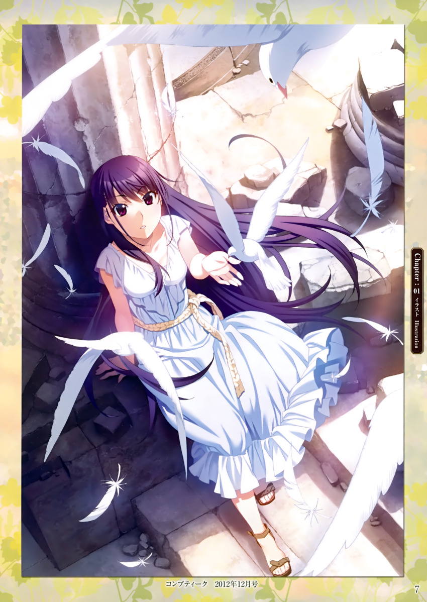absurdres bird dress feathers grisaia_(series) grisaia_no_kajitsu grisaia_no_rakuen highres long_hair purple_eyes sakaki_yumiko sitting watanabe_akio white_dress