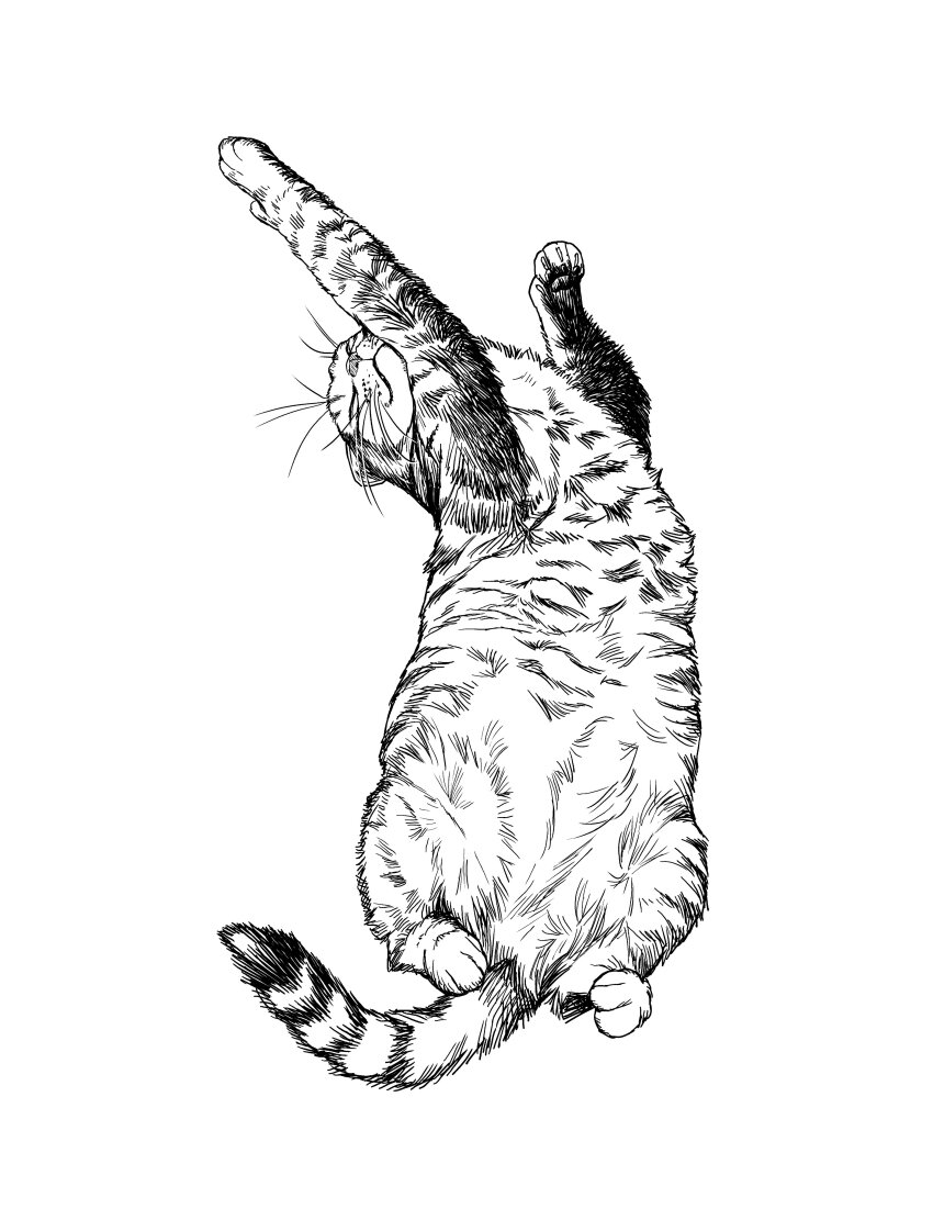 absurdres animal animal_focus cat closed_eyes commentary_request greyscale highres korean_commentary lying monochrome no_humans on_back original paw_up sat0_manga simple_background stretching striped_fur tabby_cat whiskers white_background