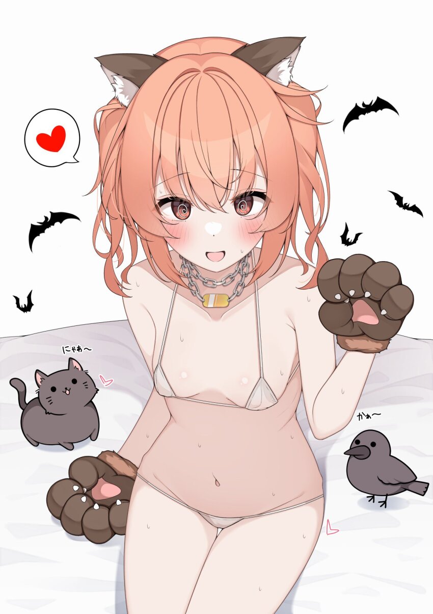 1girl :d @_@ animal_ear_fluff animal_ears animal_hands arm_at_side bare_arms bikini bird black_bird black_cat blush breasts breasts_apart cat chain chain_necklace collarbone commentary_request cowboy_shot embarrassed eyes_visible_through_hair fake_animal_ears gloves groin hair_between_eyes halloween_costume halterneck hand_up heart highres inaba_meguru jewelry long_hair looking_at_viewer micro_bikini navel necklace official_alternate_costume official_alternate_hairstyle on_bed open_mouth orange_hair paw_gloves red_eyes sanoba_witch sidelocks simple_background sitting small_breasts smile solo speech_bubble spoken_heart sweat swimsuit thigh_gap twintails white_background white_bikini wolf_ears yosh1na