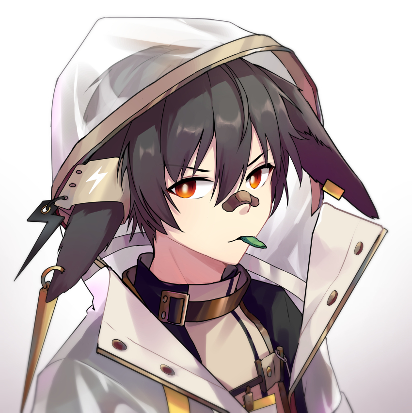 1boy absurdres animal_ear_piercing animal_ears arknights ayerscarpe_(arknights) bandaid bandaid_on_face bandaid_on_nose black_hair bright_pupils chinese_commentary closed_mouth commentary gradient_background grey_background hair_between_eyes highres hood hood_up looking_at_viewer male_focus mouth_hold orange_eyes portrait short_hair solo white_background white_pupils xia_bao_(wulalala)