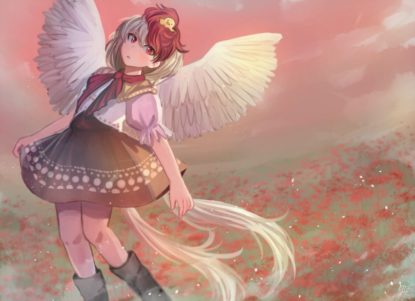 1girl animal animal_on_head arms_at_sides bird bird_on_head bird_tail bird_wings black_footwear chick chicken feathered_wings khylimei looking_at_viewer meadow multicolored_hair niwatari_kutaka on_head open_mouth puffy_short_sleeves puffy_sleeves red_eyes red_neckwear red_sky shirt short_hair short_sleeves sky tail touhou two-tone_hair white_shirt wings