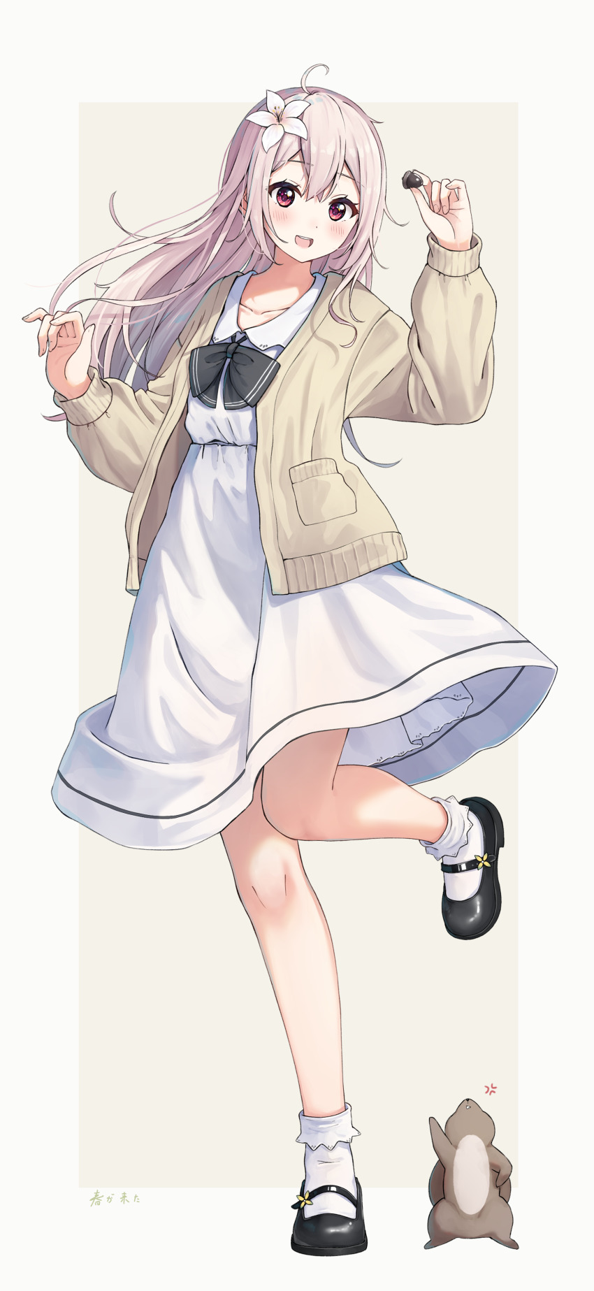 1girl :d absurdres acorn anger_vein animal black_bow black_shoes blush bobby_socks border bow brown_background brown_jacket collared_dress commentary_request dress enuni flower full_body grey_border grey_hair hair_between_eyes hair_flower hair_ornament highres holding jacket long_hair long_sleeves open_clothes open_jacket open_mouth original puffy_long_sleeves puffy_sleeves purple_eyes rabbit shoes smile socks solo standing standing_on_one_leg translation_request very_long_hair white_dress white_flower white_socks