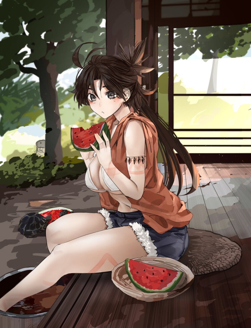 1girl 1other absurdres antenna_hair arm_tattoo armlet bare_legs bikini black_hair blurry blurry_background breasts bush chibi chibi_inset closed_mouth day denim denim_shorts eating fate_(series) food fruit grey_eyes hands_up highres himiko_(fate) himiko_(tour_outfit)_(fate) holding holding_food jewelry large_breasts light_particles long_hair looking_at_viewer obazzotto orange_vest outdoors ponytail shorts sitting soaking_feet swimsuit tattoo thighs tree turtle vest watermelon watermelon_slice white_bikini wooden_floor