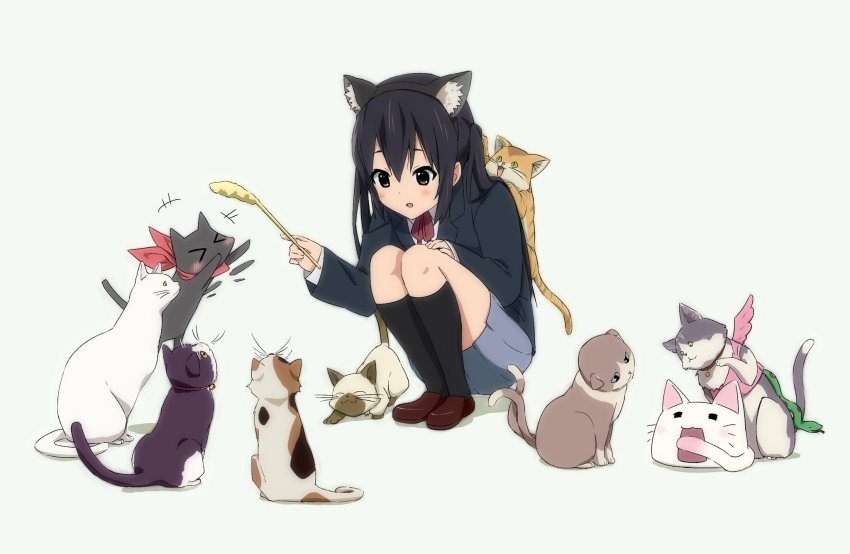 &gt;_&lt; +++ 1girl afterimage animal_ears annotated black_cat black_eyes black_hair black_jacket black_socks blazer blue_skirt brown_shoes calico cat cat_ears cat_teaser chimera_(chuu2koi) chuunibyou_demo_koi_ga_shitai! clannad collared_shirt commentary company_connection crossover dress_shirt fake_animal_ears free! grey_background highres holding jacket k-on! kanon kneehighs konsuke0 kyoto_animation kyoukai_no_kanata loafers long_hair looking_at_another lucky_star miniskirt multiple_crossover musaigen_no_phantom_world nakano_azusa neck_ribbon nichijou nyamou open_mouth piro pleated_skirt red_ribbon ribbon sakamoto_(nichijou) sakuragaoka_high_school_uniform school_uniform shadow shamisen_(suzumiya_haruhi) shima_katsuki shindou_ai shirt shoes skirt smile socks solo squatting suzumiya_haruhi_no_yuuutsu tokisadame_school_uniform white_shirt