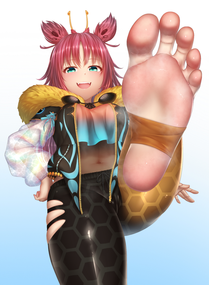 1girl :d animal_ears barefoot black_pants blue_background breasts fangs feet foot_focus foot_up foreshortening fur_trim gradient_background greek_toe green_eyes hand_on_own_hip highres jacket large_breasts leg_up long_hair long_sleeves looking_at_viewer navel no_shoes open_mouth original paid_reward_available pants pink_hair red_hair see-through_clothes smile soles solo standing standing_on_one_leg steaming_body stirrup_legwear teeth toeless_legwear toes torn_clothes two_side_up upper_teeth_only virtual_youtuber yui_hiroshi