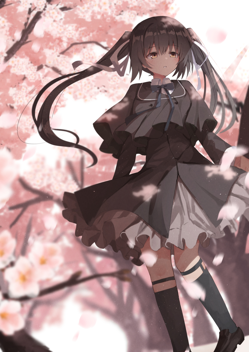 1girl absurdres arms_at_sides black_capelet black_dress black_hair black_socks blue_bow blue_bowtie blurry blush bow bowtie brown_eyes capelet cherry_blossoms collared_shirt commentary dappled_sunlight day depth_of_field dress falling_petals floating_hair foot_out_of_frame frilled_dress frills hair_ribbon highres honma_misuzu kneehighs long_hair long_sleeves looking_ahead nodoameyatou outdoors parted_lips petals ribbon sakura_no_toki sakura_no_uta school_uniform shirt socks solo spring_(season) standing sunlight twintails white_ribbon white_shirt wind