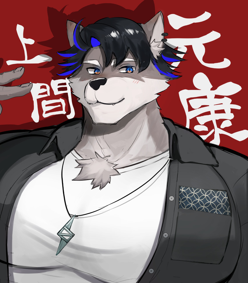 1boy absurdres animal_ear_piercing bara blue_eyes closed_mouth covered_pectorals fingernails furry furry_male grey_fur grey_jacket highres indie_virtual_youtuber jacket jewelry male_focus motoyasu_kamima multicolored_hair necklace pectorals red_background satogaku shadow shirt short_hair solo streaked_hair translation_request virtual_youtuber white_shirt wolf_boy