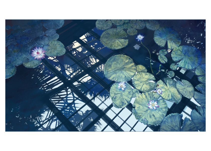border commentary flower lake lotus lotus_leaf no_humans original outdoors pink_flower plant reflection reflective_water scenery shadow sunoji08 water white_border