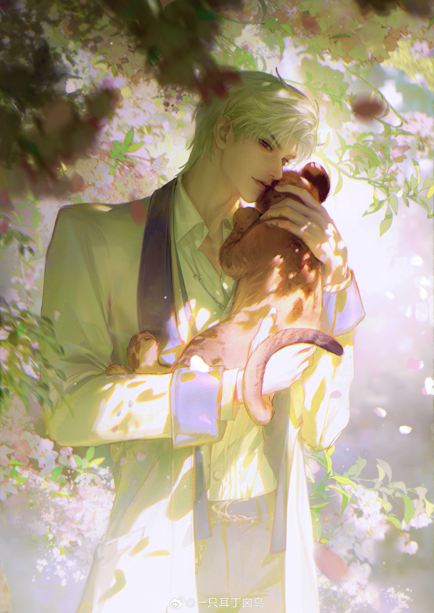 1boy absurdres albino animal bishounen black_pants blue_sleeve_cuffs cat cherry_blossoms chinese_commentary closed_mouth coat collarbone collared_coat collared_shirt commentary_request cowboy_shot day dress_pants falling_petals flower highres holding holding_animal holding_cat lapels layered_sleeves light_smile lips long_sleeves looking_at_viewer love_and_deepspace male_focus open_clothes open_coat orange_cat outdoors pants petals pink_flower pink_lips red_eyes shirt short_hair spring_(season) standing sylus_(love_and_deepspace) thick_eyebrows tree watermark weibo_watermark white_coat white_hair white_shirt yi_zhi_er_ding_xin_wu