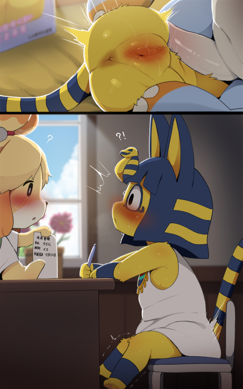 1boy 2girls animal_crossing animal_ears ankha_(animal_crossing) anus artificial_vagina_with_body ass black_eyes blonde_hair blue_fur blush body_fur cat_ears cat_girl cat_tail character_request dagasi dog_girl dress furry furry_female furry_male hetero highres interspecies isabelle_(animal_crossing) multiple_girls nintendo open_mouth penis pussy sex sitting sleeveless sleeveless_dress sweat tail telepathic_sex translation_request uncensored uncommon_stimulation white_dress yellow_fur