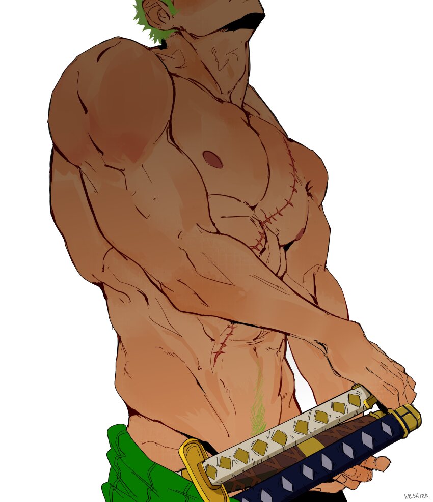 1boy abs absurdres adam&#039;s_apple arm_up bara bare_shoulders biceps colored_pubic_hair commentary cropped_head english_commentary green_hair green_pubic_hair groin haramaki highres katana male_focus male_pubic_hair multiple_swords muscular muscular_male navel nipples one_piece pectorals pubic_hair roronoa_zoro scar scar_on_chest short_hair simple_background solo sword topless_male weapon wesaier white_background