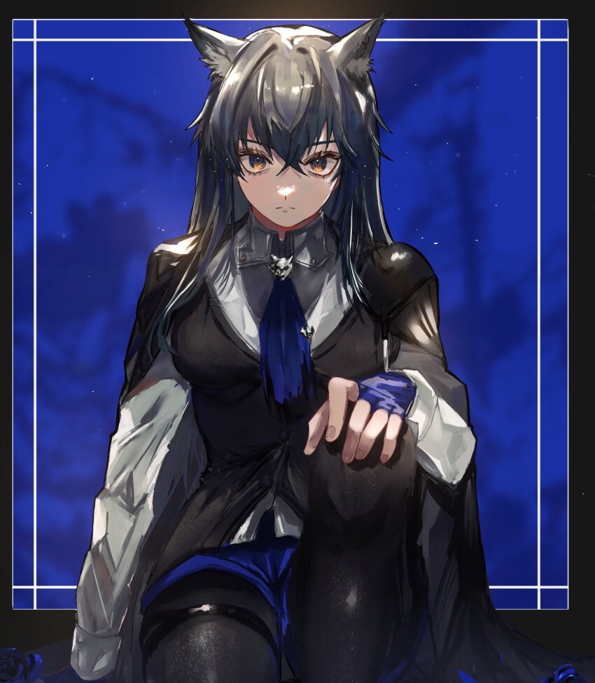 1girl a6_9s_rinlin animal_ear_fluff arknights black_eyes black_hair black_pantyhose black_vest blue_background bolo_tie closed_mouth collared_shirt commentary_request crossed_bangs expressionless fingerless_gloves fingernails gloves hair_between_eyes hand_on_own_knee highres knee_up light_particles long_hair long_sleeves looking_at_viewer multicolored_eyes pantyhose purple_gloves shirt sitting solo split_mouth texas_(arknights) texas_the_omertosa_(arknights) thigh_strap two-tone_eyes vest white_shirt yellow_eyes