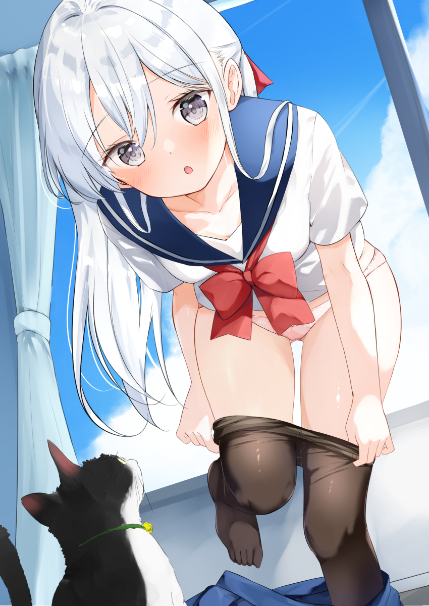 1girl absurdres black_pantyhose blue_sailor_collar blue_skirt bow bowtie breasts cat clothes_pull collarbone commentary_request foot_out_of_frame gluteal_fold grey_eyes hamaken._(novelize) highres indoors leaning_forward long_hair looking_at_viewer open_mouth original paid_reward_available panties pantyhose pantyhose_pull pink_panties ponytail pulling_own_clothes red_bow red_bowtie sailor_collar school_uniform serafuku shirt short_sleeves skirt skirt_around_one_leg small_breasts solo toes underwear undressing white_hair white_shirt