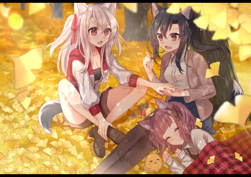 3girls alternate_costume animal_ear_fluff autumn autumn_leaves azur_lane black_hair blue_skirt breasts brown_footwear brown_hair brown_jacket brown_legwear brown_shorts cleavage hair_between_eyes hair_ribbon jacket leaf long_hair manjuu_(azur_lane) medium_breasts multiple_girls nail_polish ougi_(u_to4410) plaid red_eyes red_ribbon ribbon shigure_(azur_lane) shiratsuyu_(azur_lane) shorts silver_hair skirt sleeping tail thick_eyebrows thighhighs white_jacket yuudachi_(azur_lane)