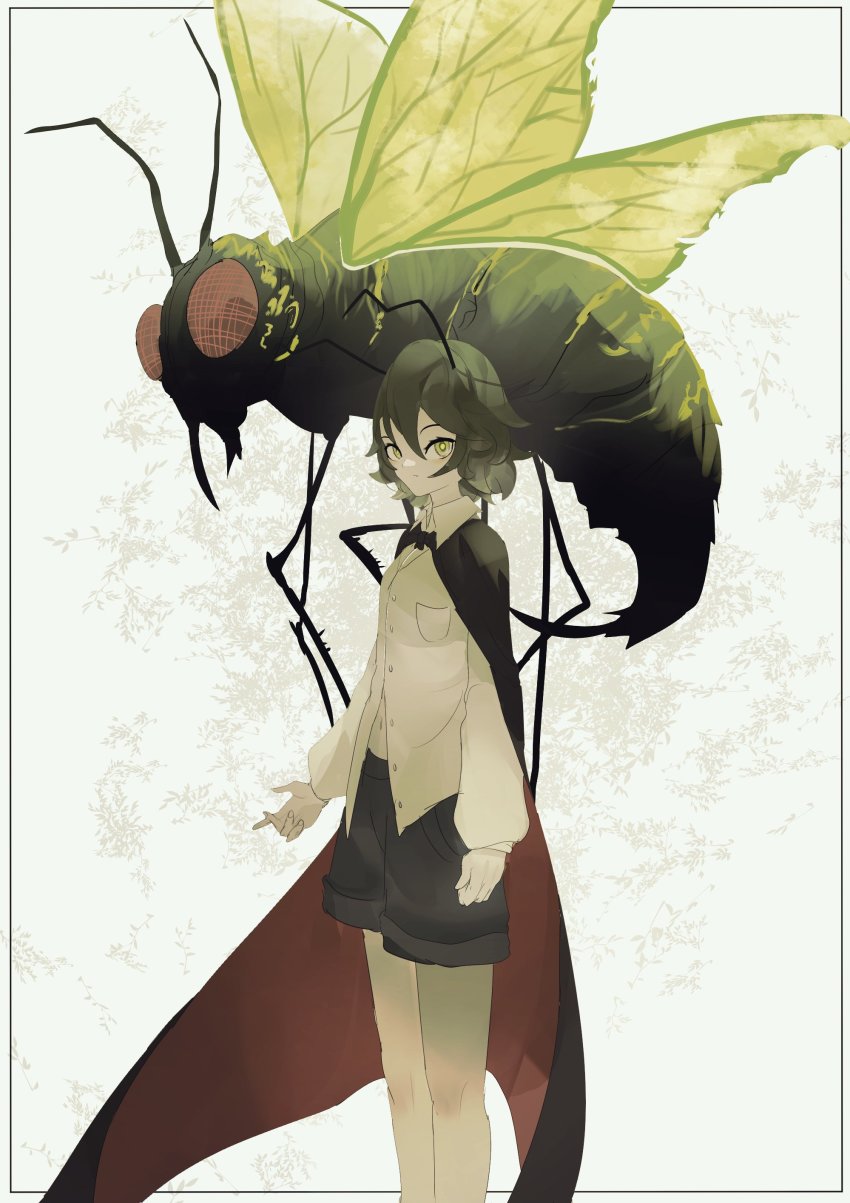1girl absurdres antennae black_border black_cape black_shorts border bug cape closed_mouth commentary english_commentary fly green_eyes green_hair highres insect long_sleeves looking_at_viewer lord_of_the_flies naufaldreamer red_eyes shirt shorts simple_background solo standing touhou white_background white_shirt wings wriggle_nightbug