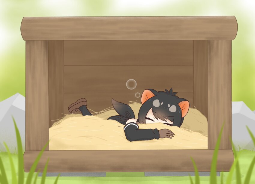 1girl back_bow black_gloves black_hair black_pantyhose black_shirt bow brown_gloves brown_hair brown_shoes bubble detached_sleeves gloves gradient_hair hair_between_eyes highres kemono_friends loafers multicolored_hair pantyhose shirt shoes short_hair sidelocks sleeping solo tasmanian_devil_(kemono_friends) tasmanian_devil_ears tasmanian_devil_tail tobinosuke12